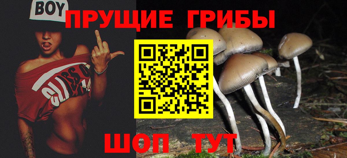 Псилоцибиновые грибы Psilocybe  Галлюциногенные грибы Magic Shrooms  Вход с VPN  Унеча 